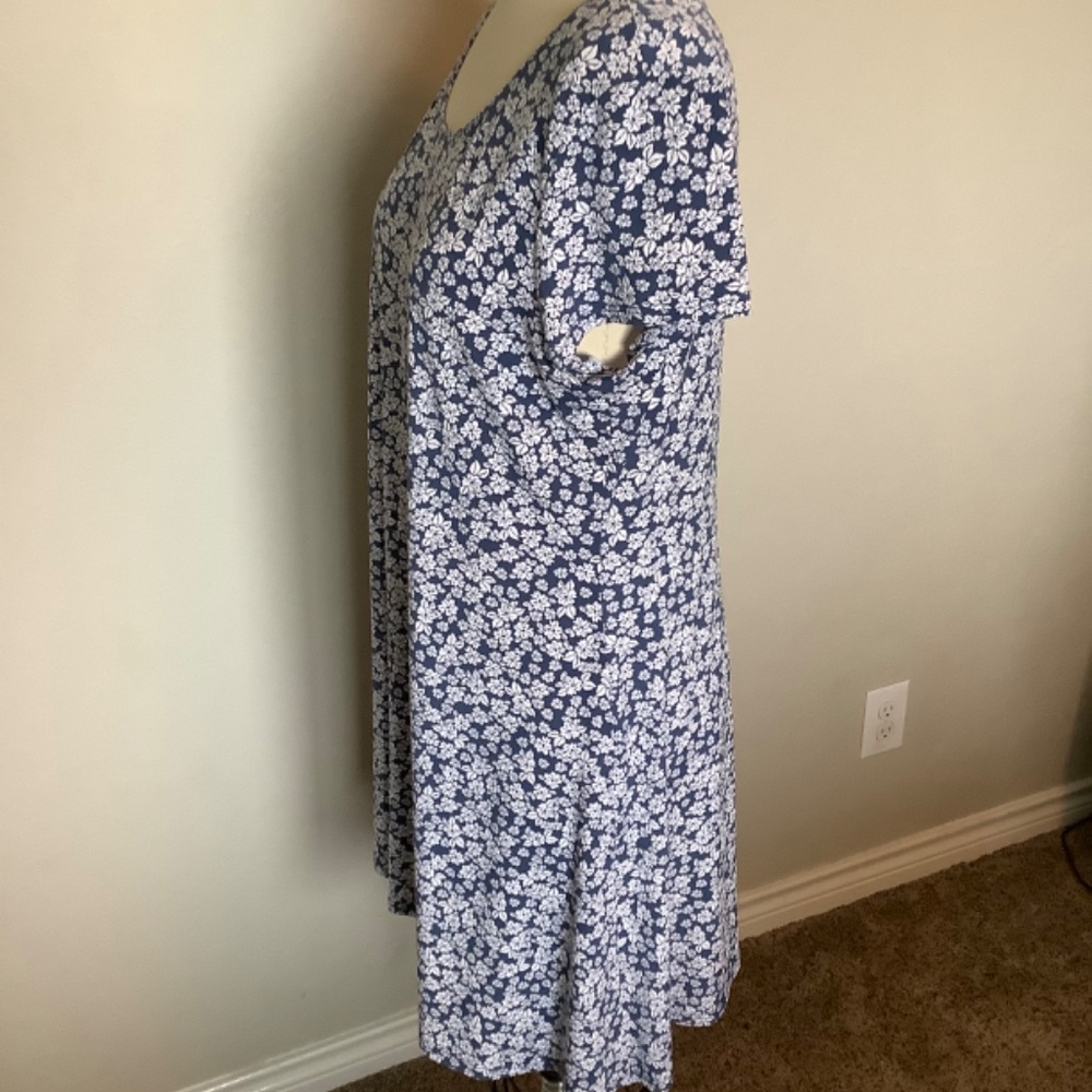 XL - Picture 4 of 7